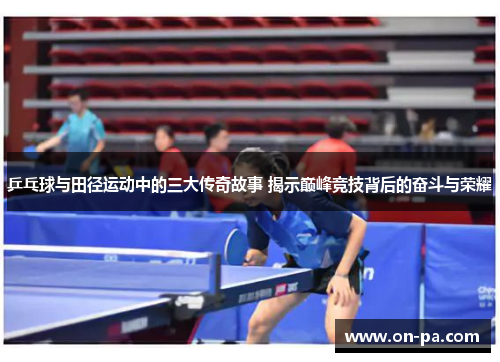 乒乓球与田径运动中的三大传奇故事 揭示巅峰竞技背后的奋斗与荣耀