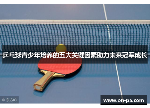 乒乓球青少年培养的五大关键因素助力未来冠军成长