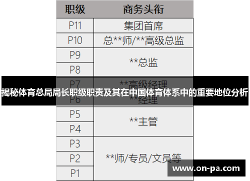 揭秘体育总局局长职级职责及其在中国体育体系中的重要地位分析