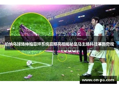 伯纳乌球场伸缩草坪系统震撼亮相揭秘皇马主场科技革新奇观