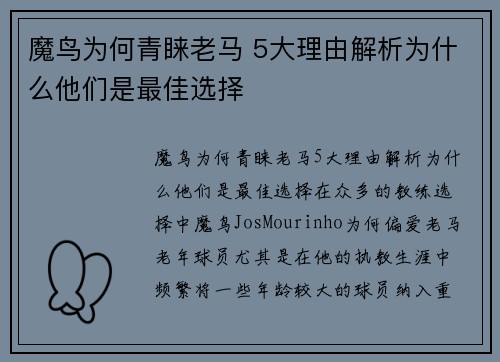 魔鸟为何青睐老马 5大理由解析为什么他们是最佳选择